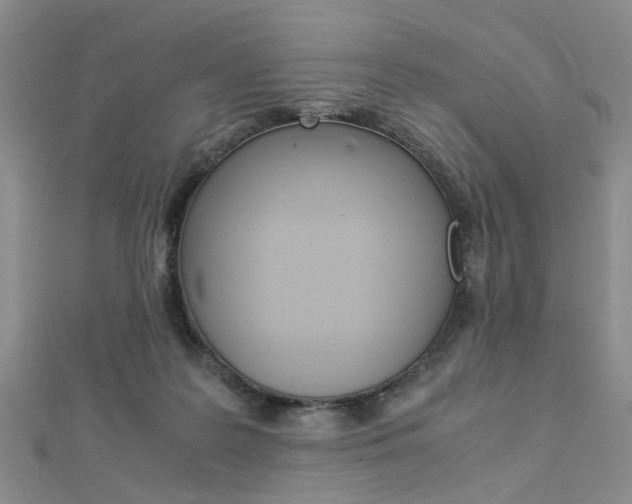 X0000112870219200908211037
