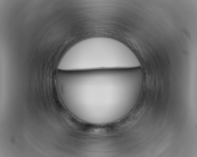 X0000112870220200908211037