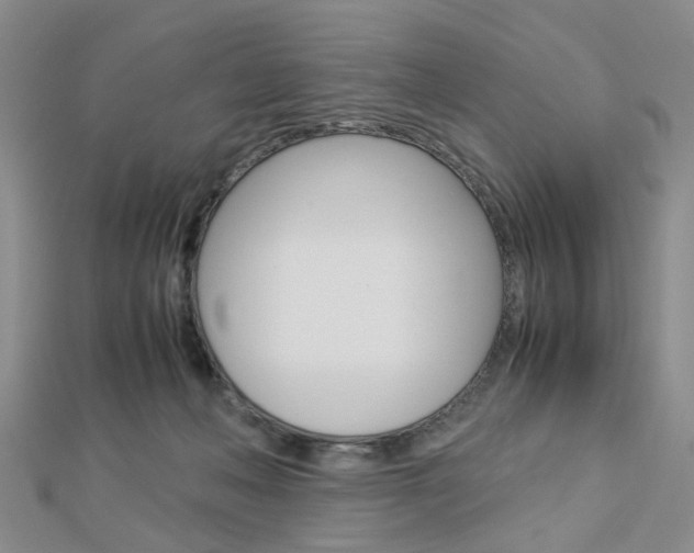 X0000112870222200908211037