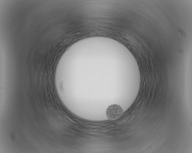 X0000112870223200908211037