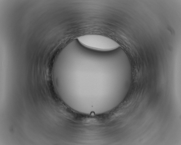 X0000112870224200908211037