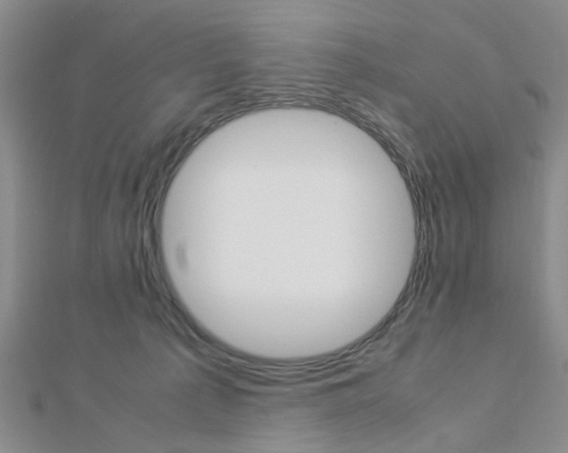 X0000112870225200908211037