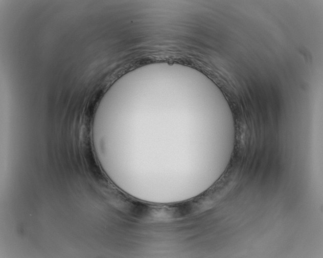 X0000112870226200908211037