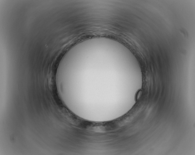 X0000112870228200908211037