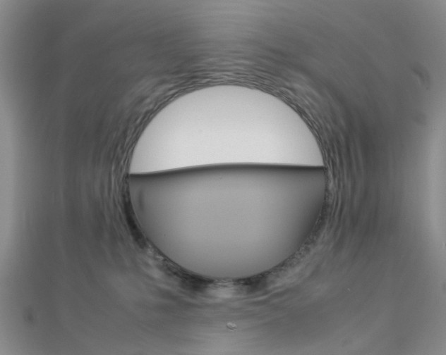 X0000112870231200908211037