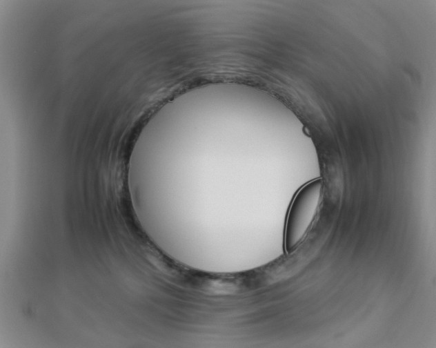 X0000112870232200908211037