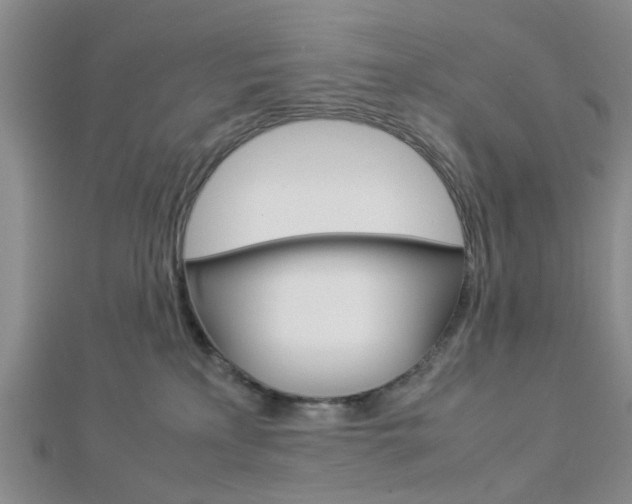 X0000112870233200908211037