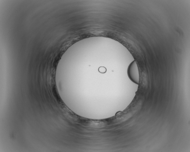 X0000112870234200908211036