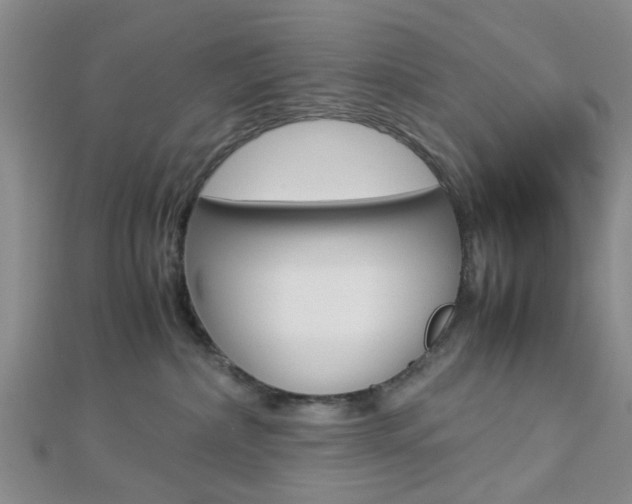 X0000112870236200908211036