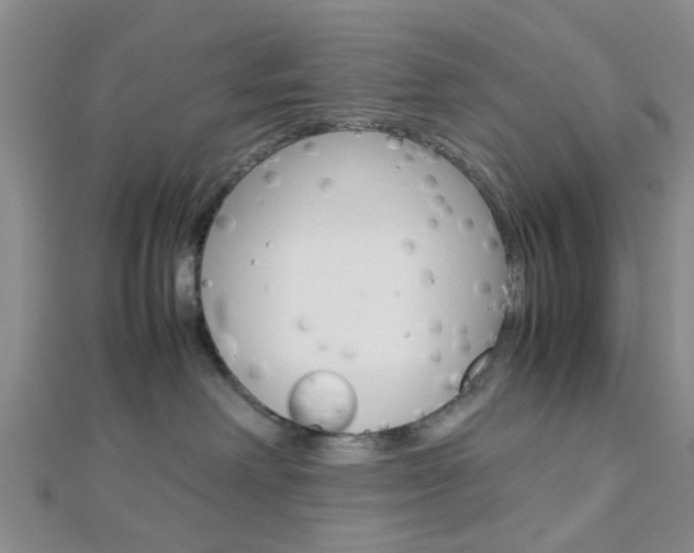 X0000112870238200908211036