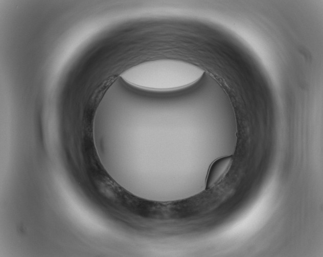 X0000112870239200908211036