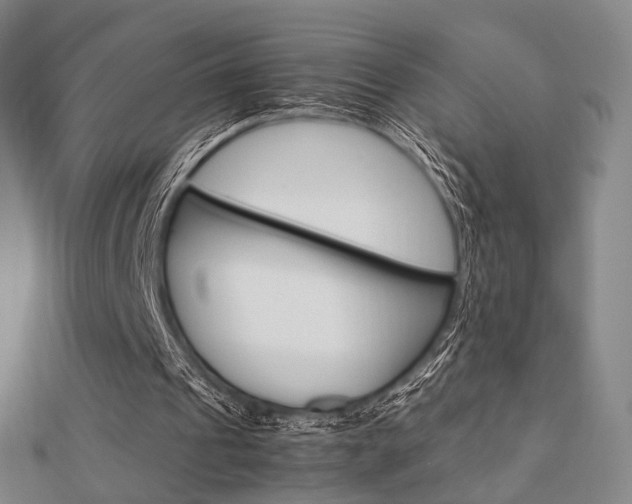 X0000112870241200908211036