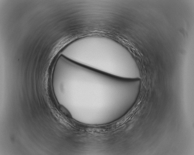 X0000112870242200908211036