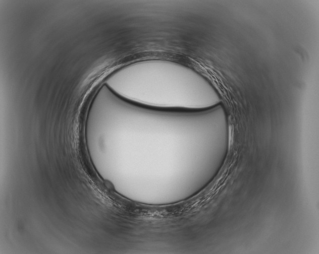 X0000112870243200908211036