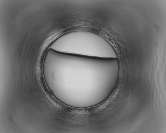 X0000112870245200908211036