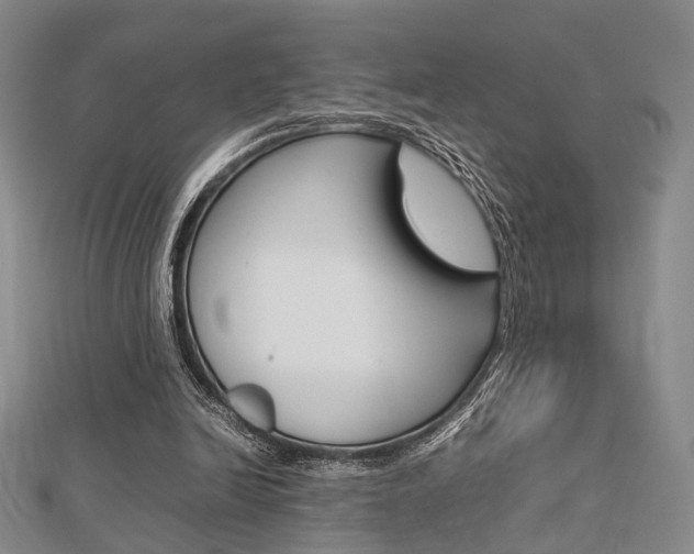 X0000112870246200908211036