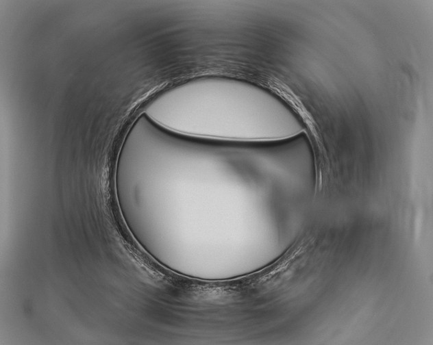 X0000112870249200908211036