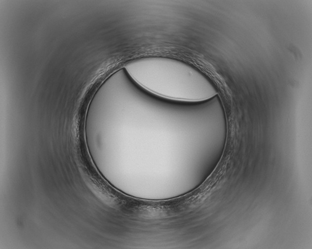 X0000112870250200908211036