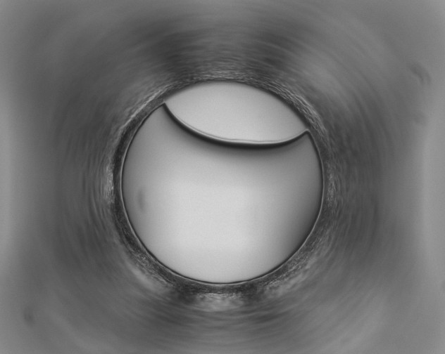 X0000112870251200908211036