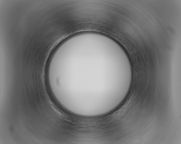 X0000112870252200908211036