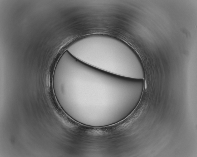 X0000112870253200908211036