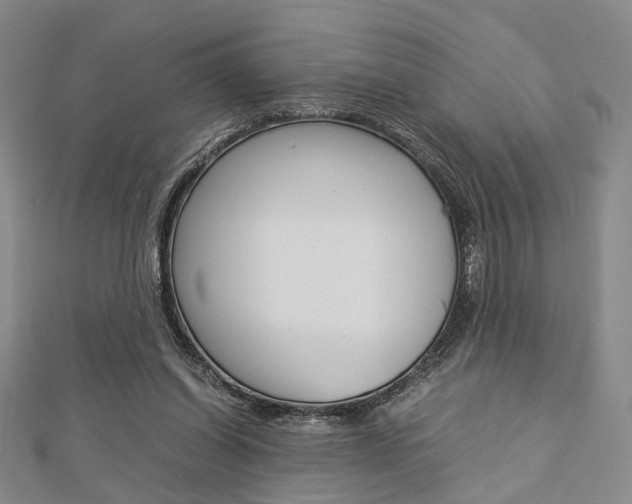 X0000112870254200908211036