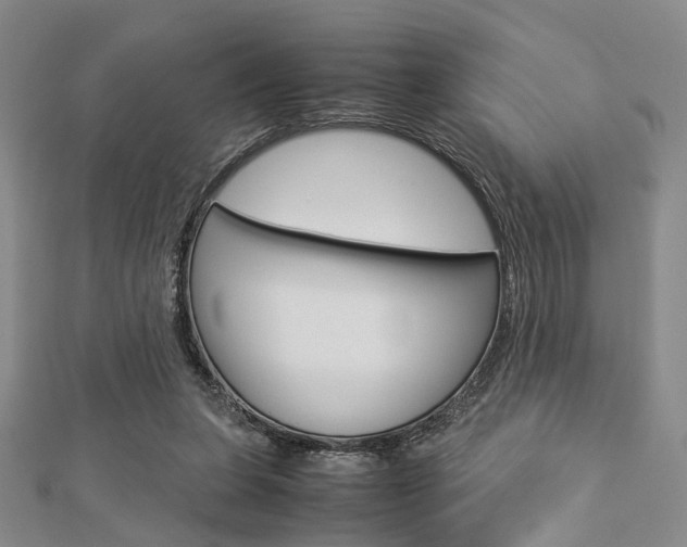 X0000112870255200908211036