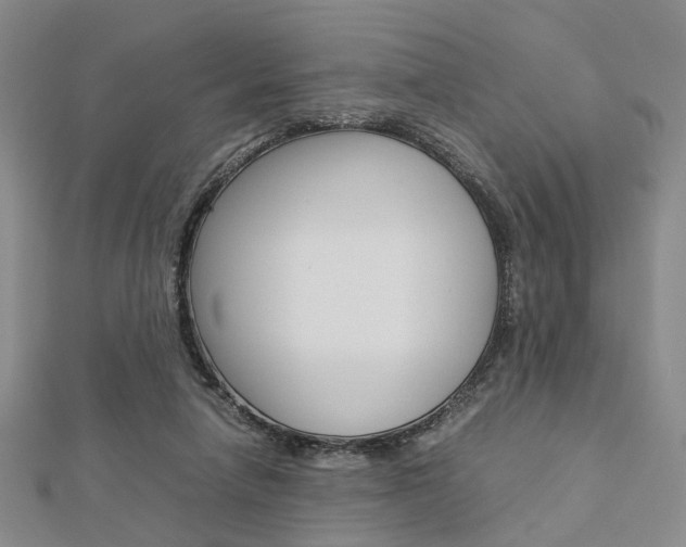 X0000112870258200908211036