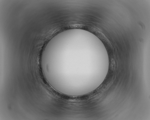 X0000112870259200908211036