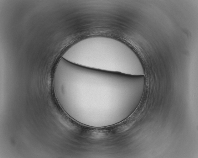 X0000112870261200908211036