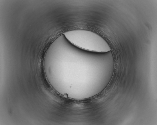 X0000112870263200908211036