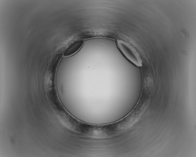 X0000112870264200908211036