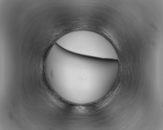 X0000112870265200908211036
