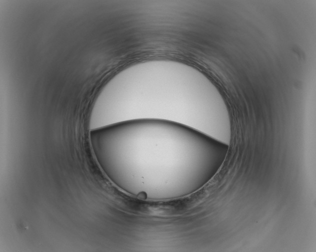 X0000112870268200908211036