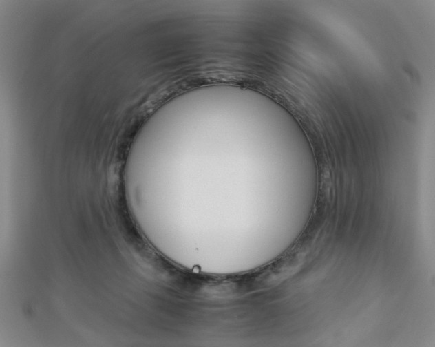 X0000112870271200908211036