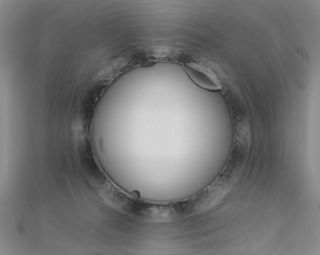 X0000112870272200908211036
