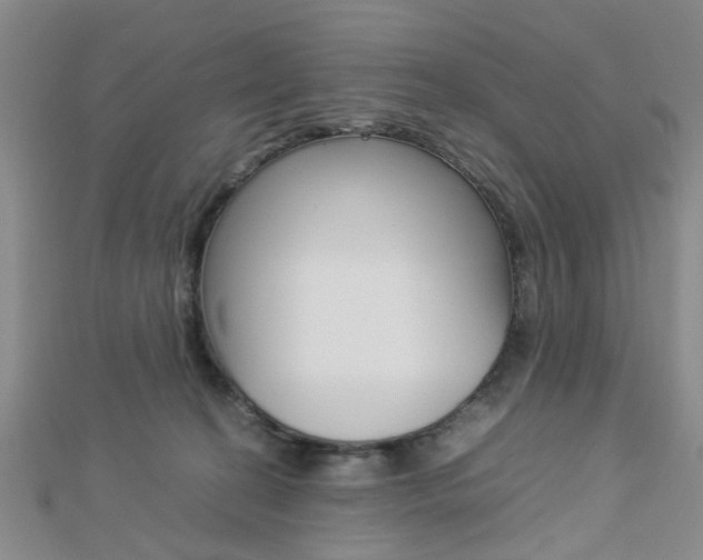 X0000112870274200908211036