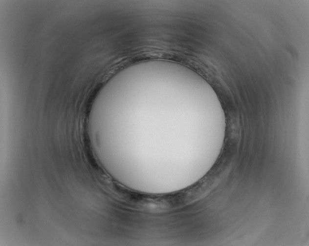 X0000112870275200908211036