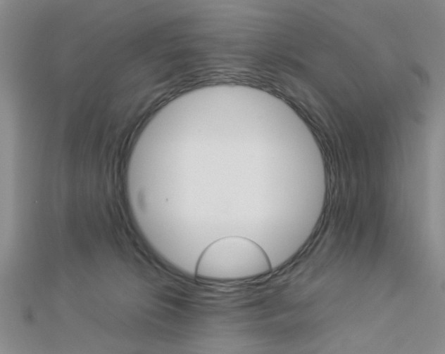 X0000112870276200908211036