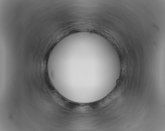 X0000112870278200908211036