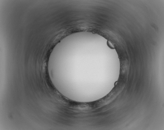 X0000112870279200908211036