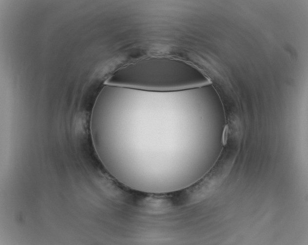 X0000112870280200908211036