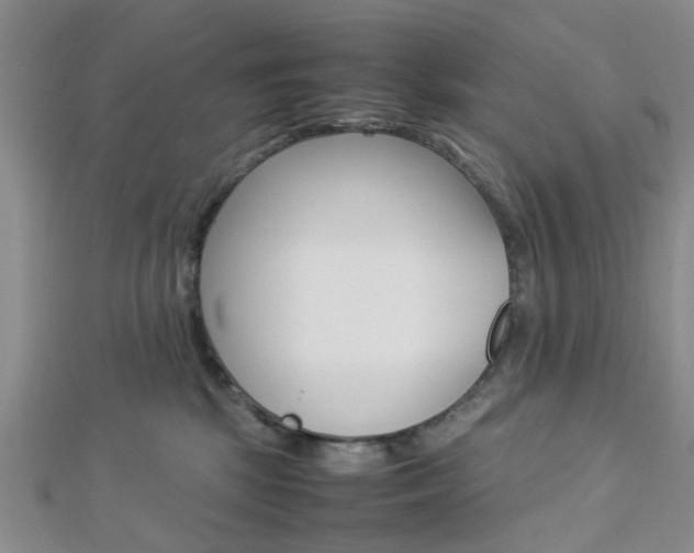 X0000112870281200908211036