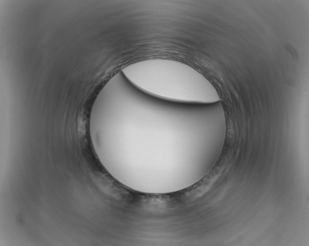 X0000112870282200908211036