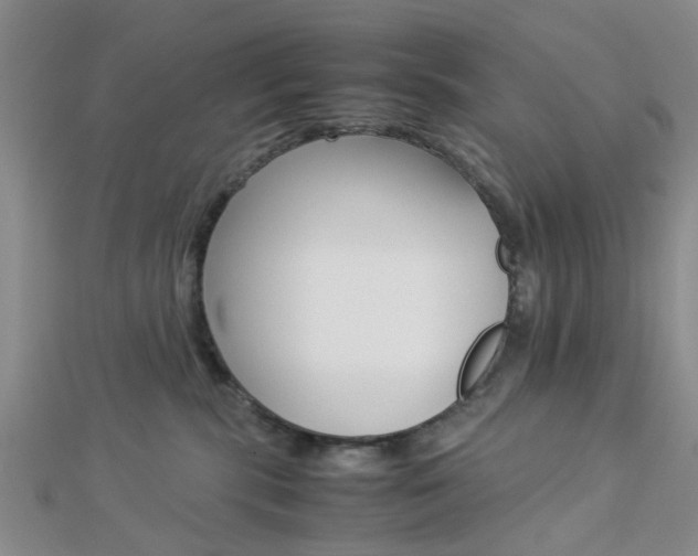 X0000112870283200908211036