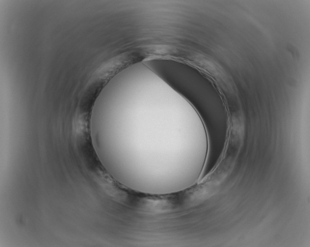 X0000112870284200908211036