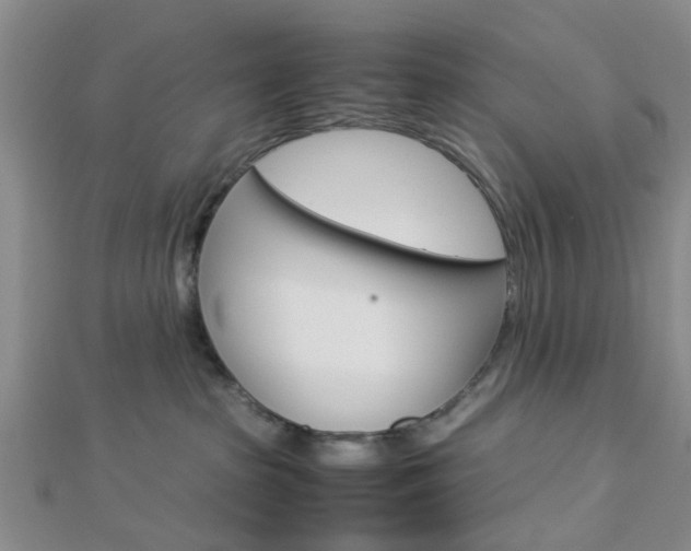 X0000112870285200908211036
