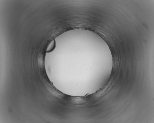 X0000112870287200908211036