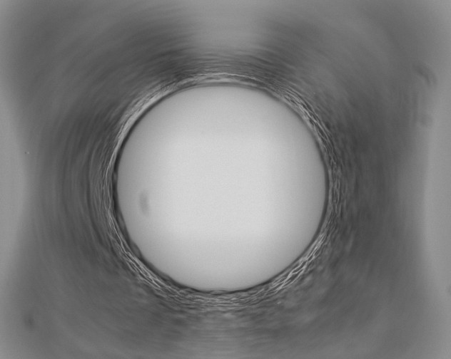 X0000112870289200908211036