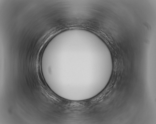 X0000112870290200908211036